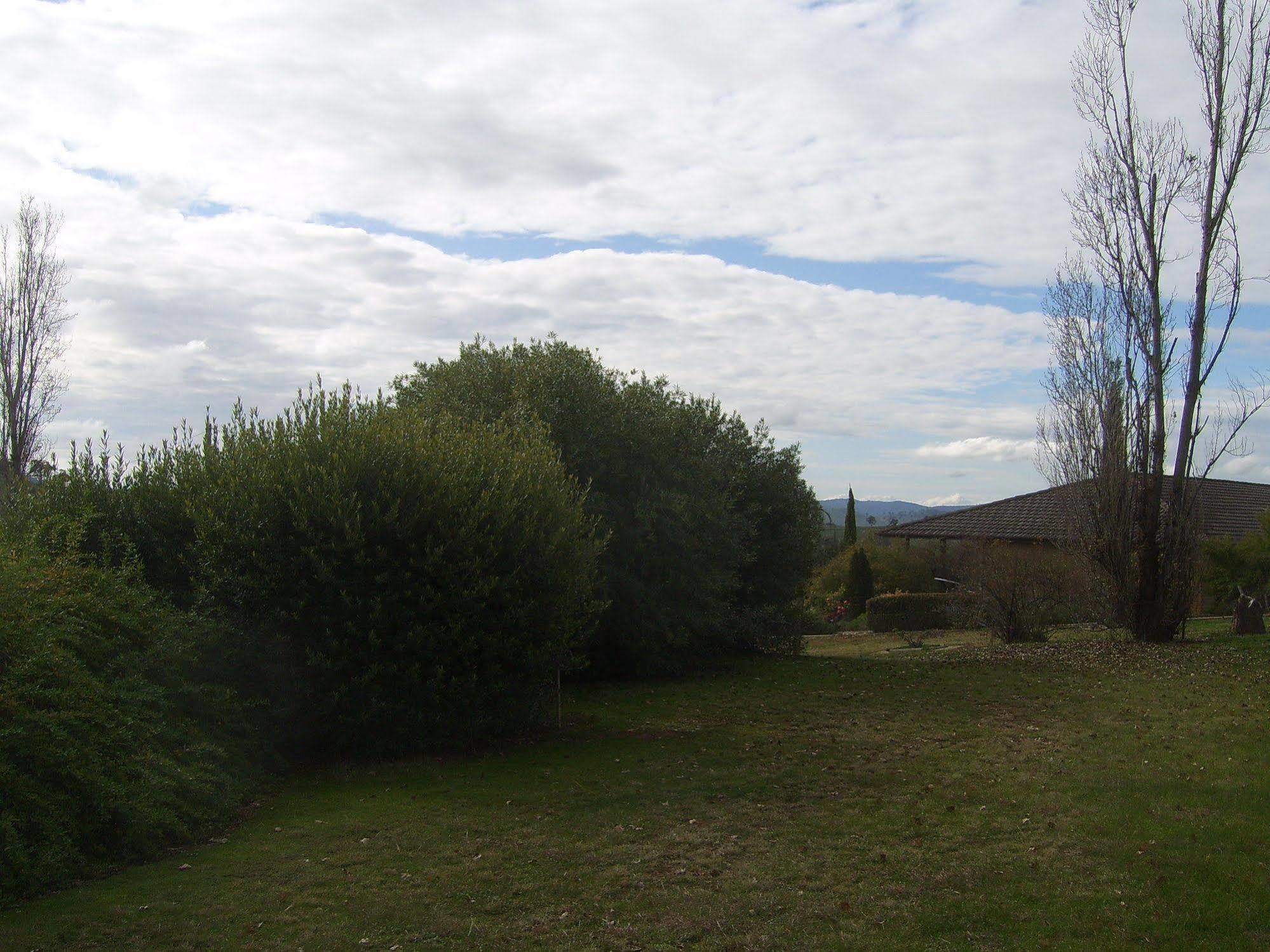 Garden Motor Inn Gundagai Eksteriør billede