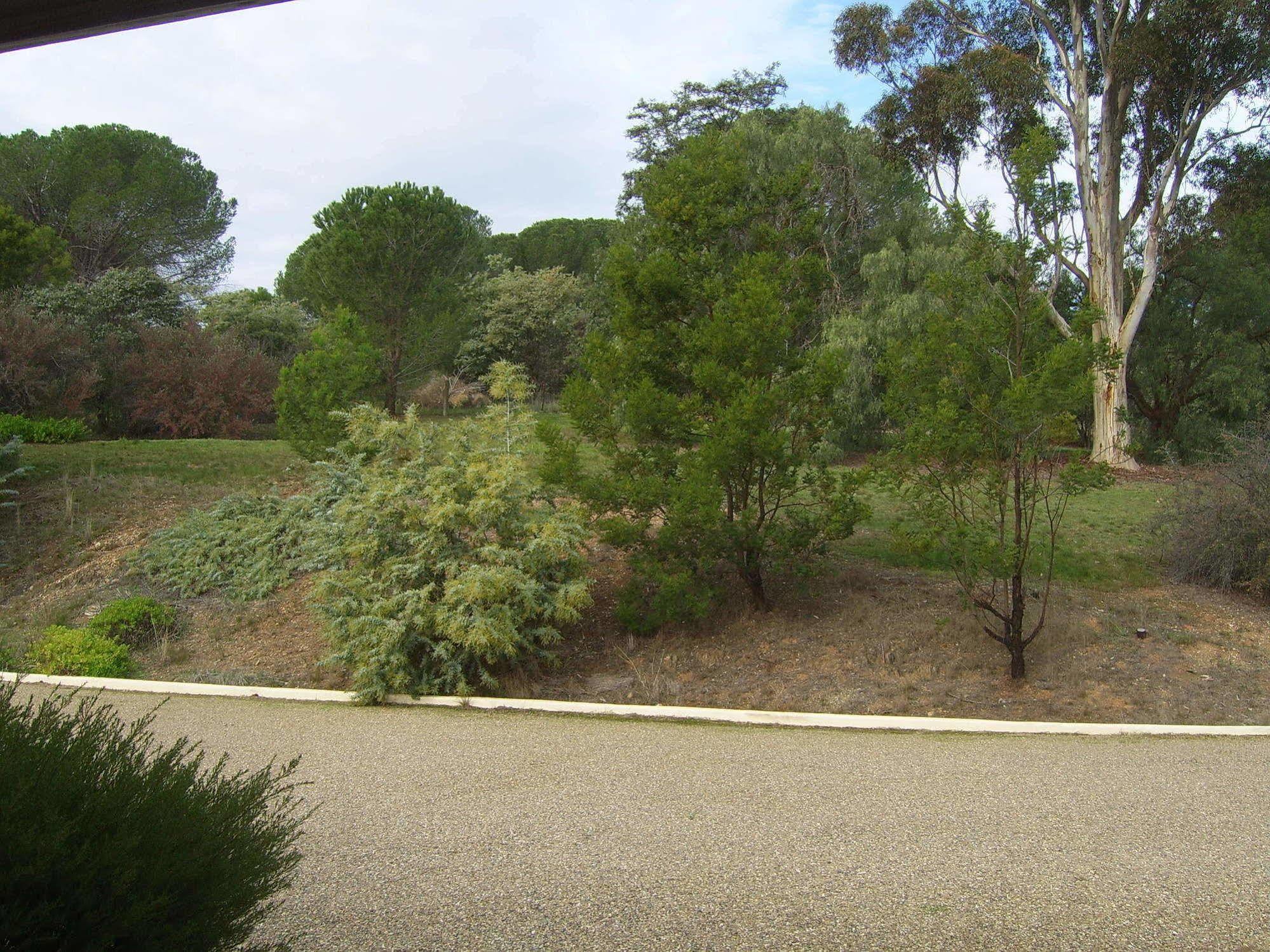 Garden Motor Inn Gundagai Eksteriør billede