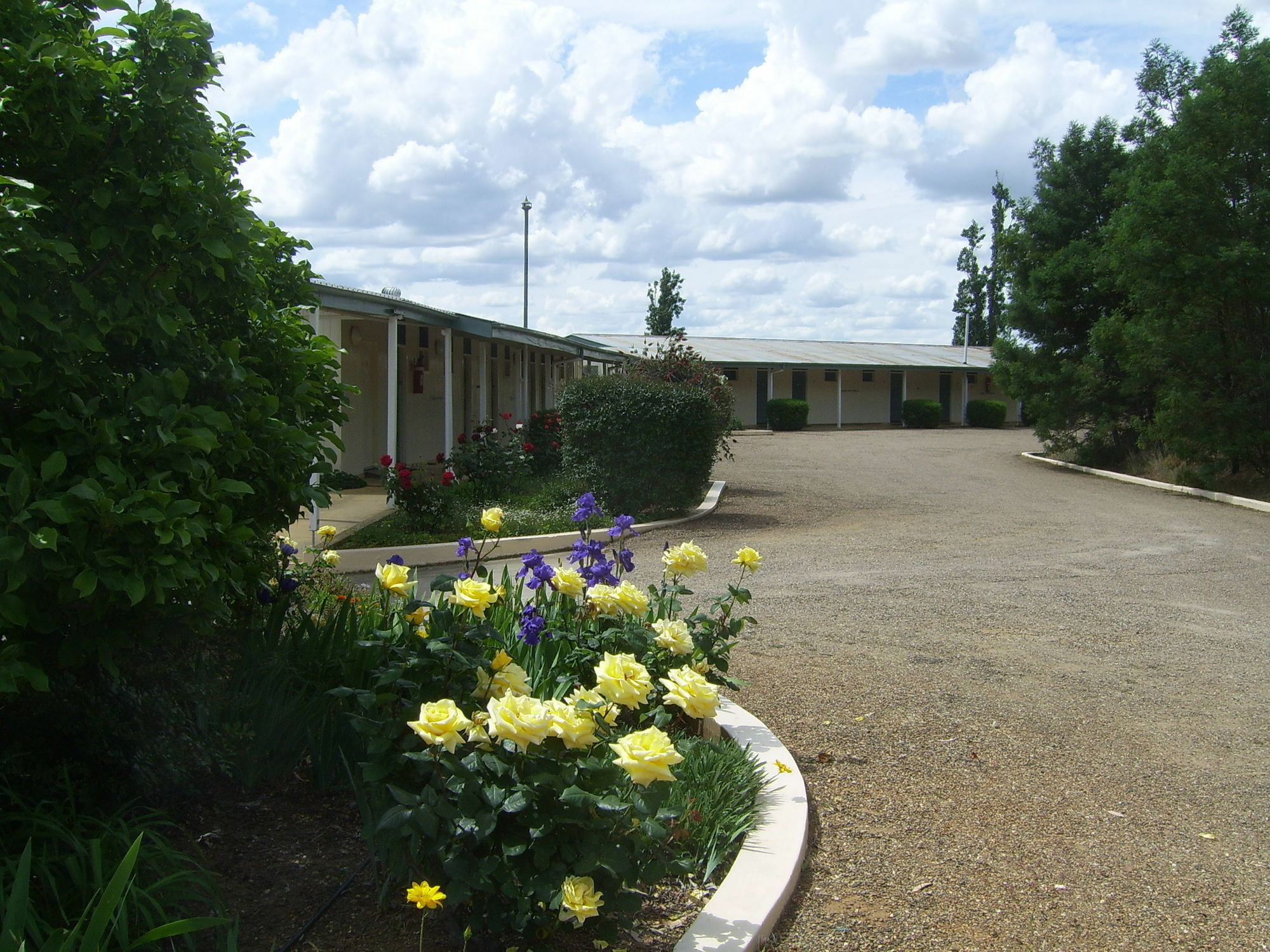 Garden Motor Inn Gundagai Eksteriør billede